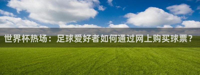 世界杯预选赛赛程时间表：世界杯热场：足球爱好者如何通过网上购买球票？