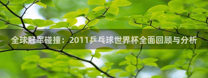 世界杯决赛圈球队：全球冠军碰撞：2011乒乓球世界杯全面回顾与分析