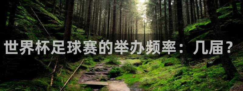 世界杯亚洲预选赛18强赛程：世界杯足球赛的举办频率：几届？
