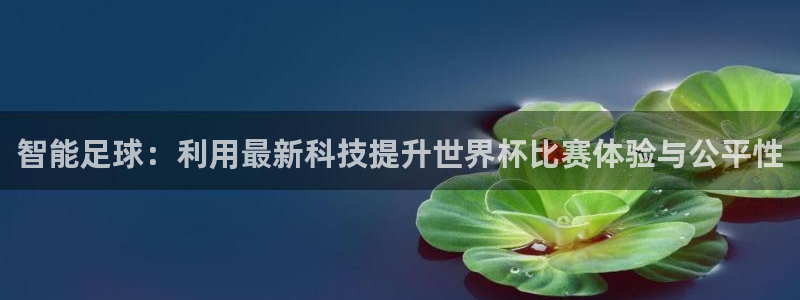 世界杯系列赛：智能足球：利用最新科技提升世界杯比赛体验与公平性