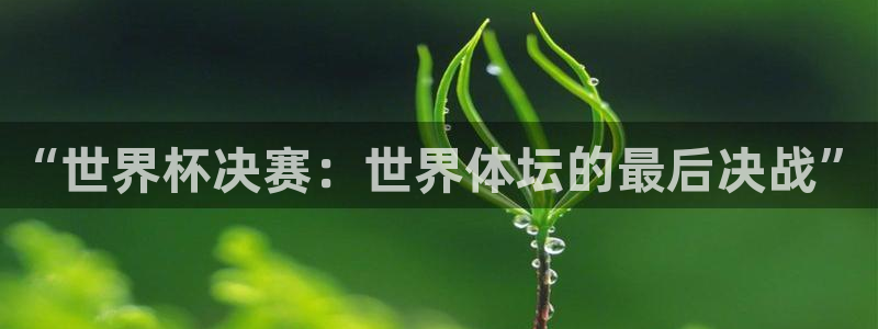 足球世界杯2026年赛程时间表：“世界杯决赛：世界体坛的最后决战”