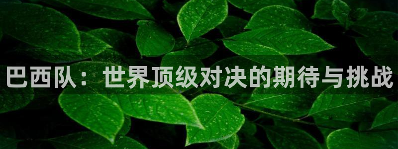 世界杯预选赛：巴西队：世界顶级对决的期待与挑战