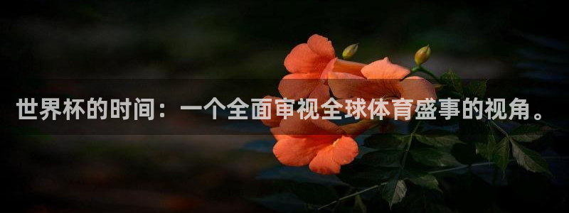 世界杯2026赛程：世界杯的时间：一个全面审视全球体育盛事的视角。