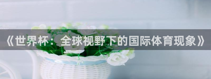 世界杯决赛直播：《世界杯：全球视野下的国际体育现象》