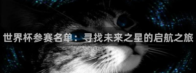2026世界杯亚洲预选赛赛程：世界杯参赛名单：寻找未来之星的启航之旅