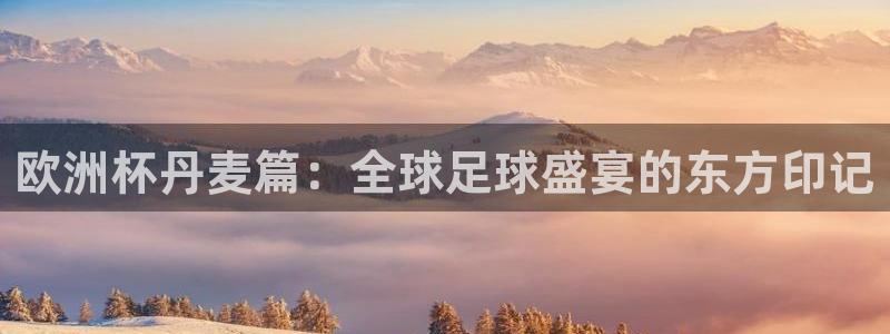 2026世界杯官网入口：欧洲杯丹麦篇：全球足球盛宴的东方印记