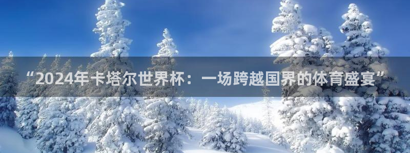 2026世界杯32强对阵图表：“2024年卡塔尔世界杯：一场跨越国界的体育盛宴”