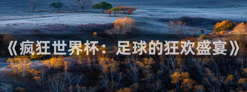 世界杯48支球队赛制：《疯狂世界杯：足球的狂欢盛宴》