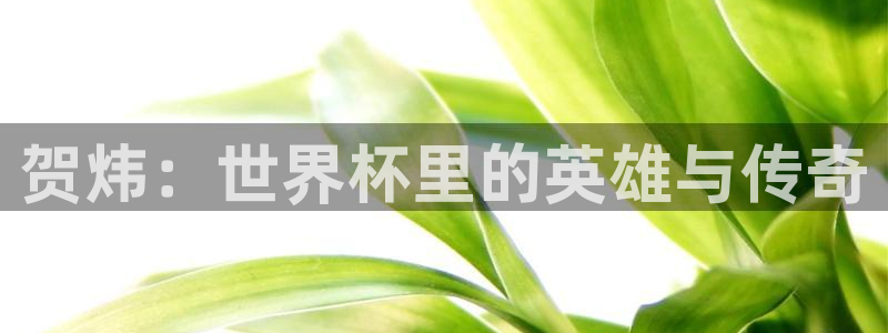 足球世界杯赛程：贺炜：世界杯里的英雄与传奇