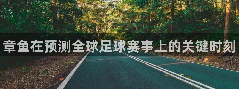 世界杯亚洲区预选赛积分榜：章鱼在预测全球足球赛事上的关键时刻