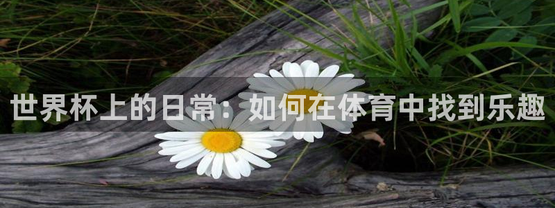 2006年世界杯：世界杯上的日常：如何在体育中找到乐趣